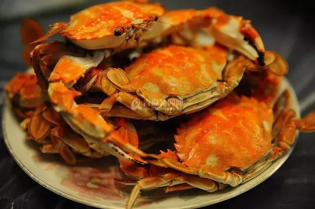 青岛栈桥旅游攻略-青岛旅游攻略必去景点栈桥(图3) 青岛栈桥旅游攻略_青岛旅游攻略必去景点栈桥_青岛攻略旅游栈桥图片