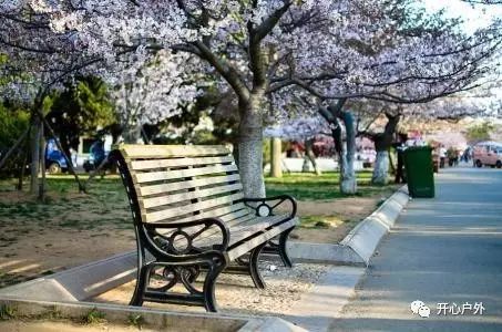 青岛栈桥旅游攻略-青岛旅游攻略必去景点栈桥(图33) 青岛旅游攻略必去景点栈桥_青岛攻略旅游栈桥图片_青岛栈桥旅游攻略