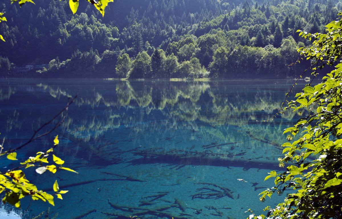 九寨沟沟门票价格_九寨沟沟囗_九寨沟沟内旅游攻略自由行