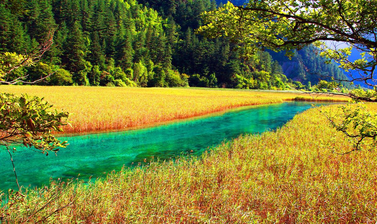 九寨沟沟门票价格_九寨沟沟囗_九寨沟沟内旅游攻略自由行