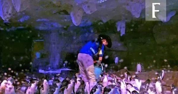 青岛旅游攻略必去景点栈桥_青岛栈桥旅游攻略_青岛攻略旅游栈桥路线