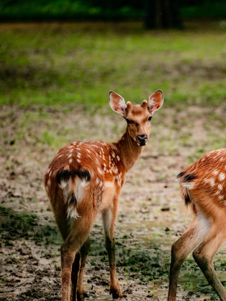 湖南岳阳旅游攻略-岳阳旅游攻略(图35) 岳阳旅游攻略_岳阳攻略_湖南岳阳旅游攻略