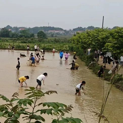 湖南岳阳旅游攻略-岳阳旅游攻略(图40) 岳阳旅游攻略_岳阳攻略_湖南岳阳旅游攻略