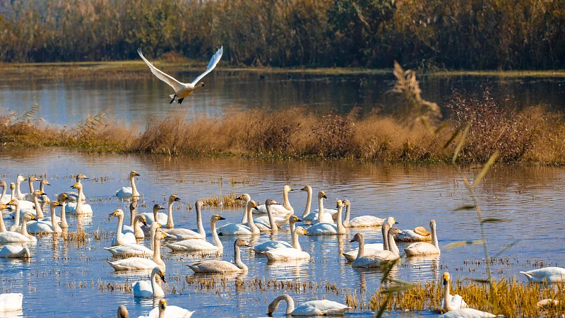 湖南岳阳旅游攻略-岳阳旅游攻略(图6) 湖南岳阳旅游攻略_岳阳攻略_岳阳旅游攻略