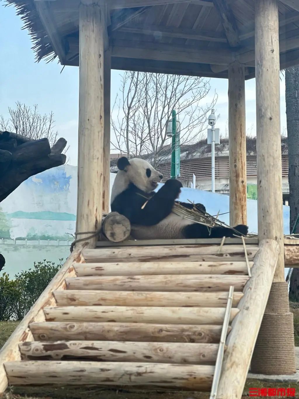 湖南岳阳旅游攻略_岳阳旅游攻略_岳阳旅游路线