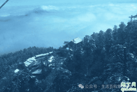 冬季峨眉山旅游攻略及费用_峨眉山冬季自助游攻略_冬季峨眉山旅游攻略