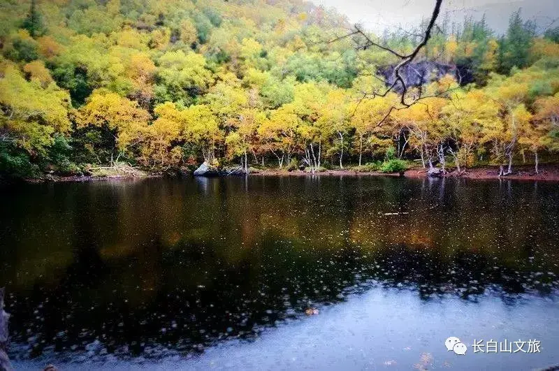 长白山攻略旅游路线图_长白山攻略旅游攻畿_长白山旅游攻略