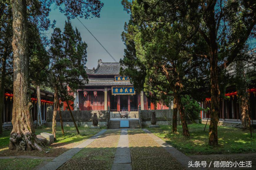 义乌自由行攻略_义乌周边度假村_义乌到枸杞岛旅游攻略