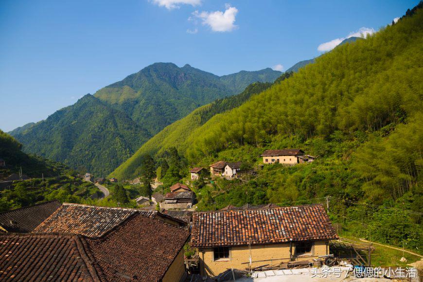 义乌自由行攻略_义乌到枸杞岛旅游攻略_义乌周边度假村