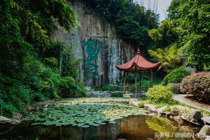 义乌周边度假村_义乌到枸杞岛旅游攻略_义乌自由行攻略