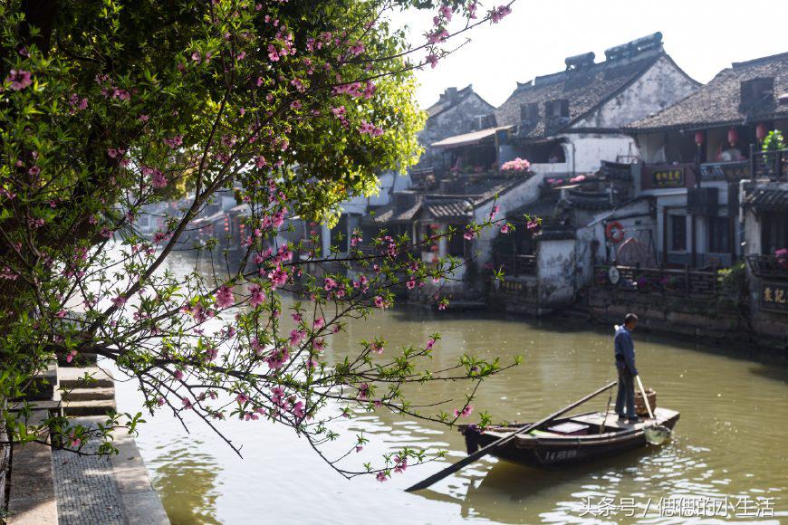 义乌到枸杞岛旅游攻略_义乌周边度假村_义乌自由行攻略