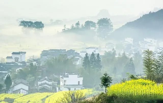 婺源西线旅游攻略_婺源西线旅游景点_婺源西线一日游攻略