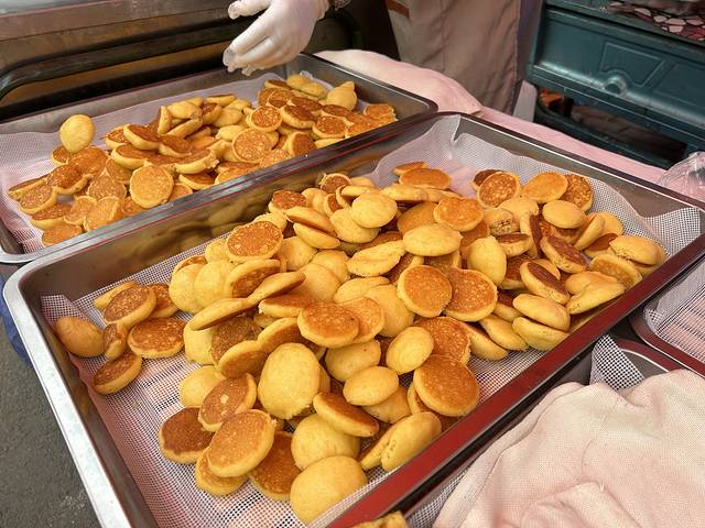 长春旅游指南_长春市旅游攻略必玩的景点_长春市旅游攻略