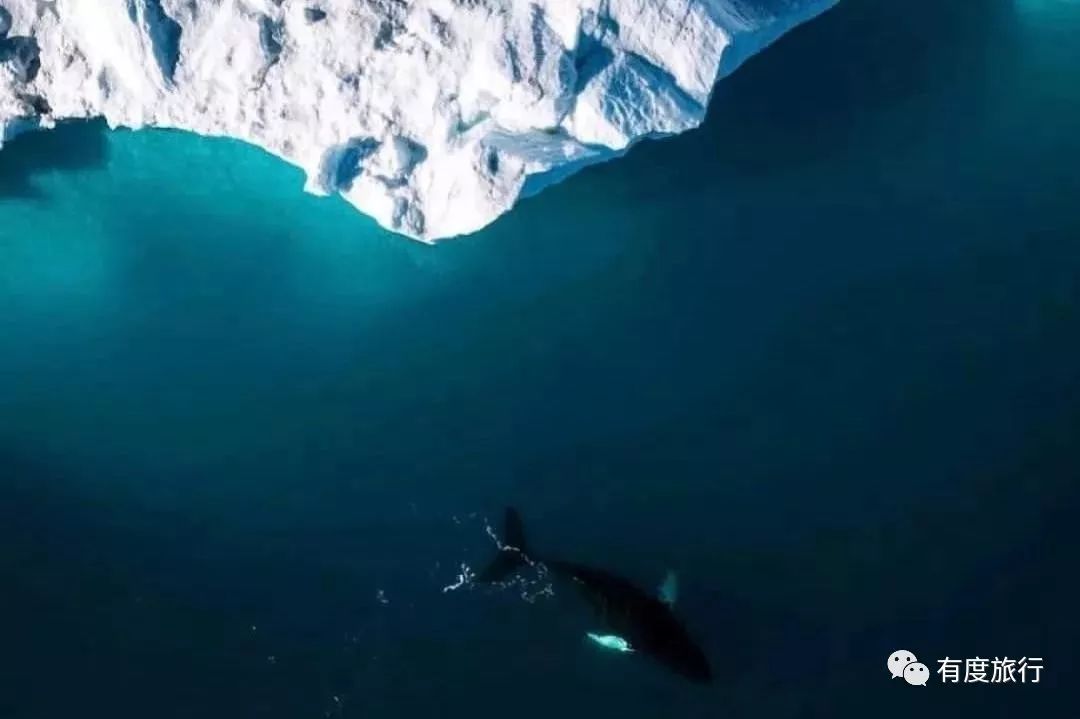 格陵兰著名景点_格陵兰旅游攻略_格陵兰好玩吗