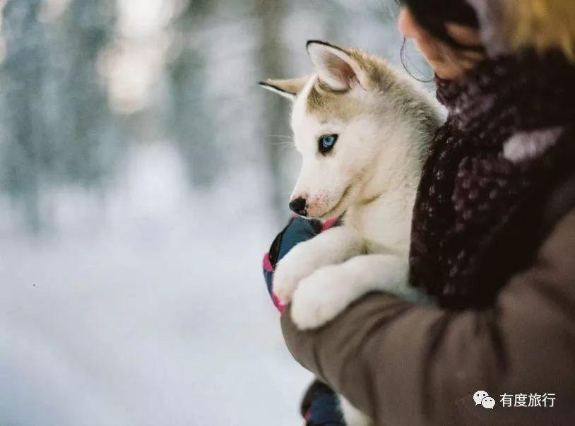格陵兰好玩吗_格陵兰旅游攻略_格陵兰著名景点