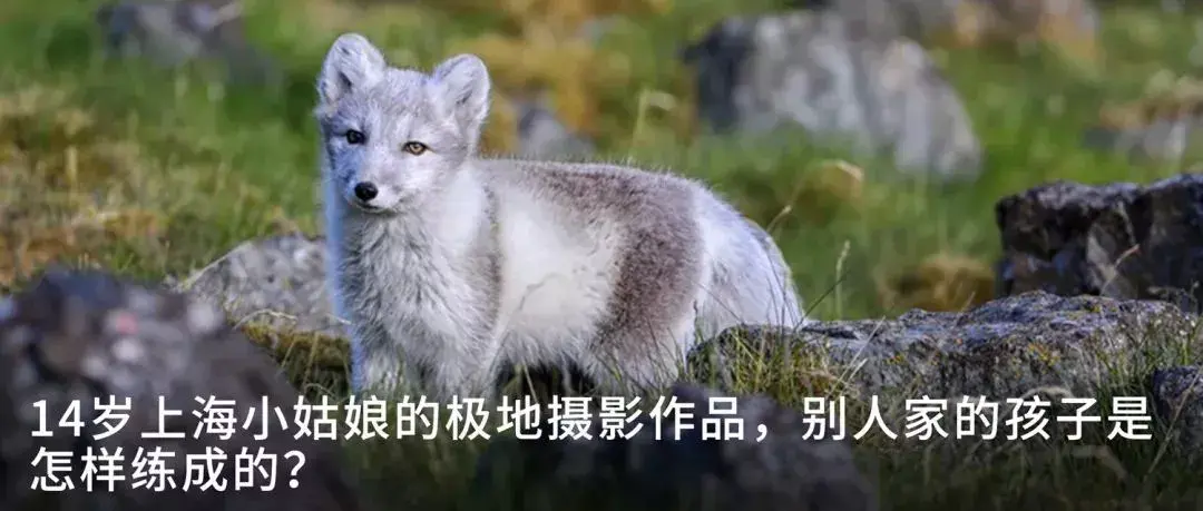 格陵兰旅游攻略_格陵兰著名景点_格陵兰景点