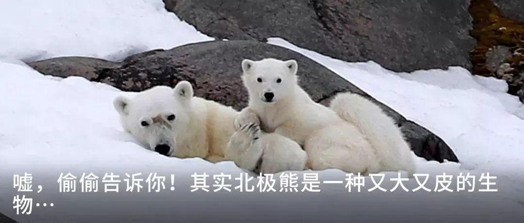 格陵兰景点_格陵兰著名景点_格陵兰旅游攻略