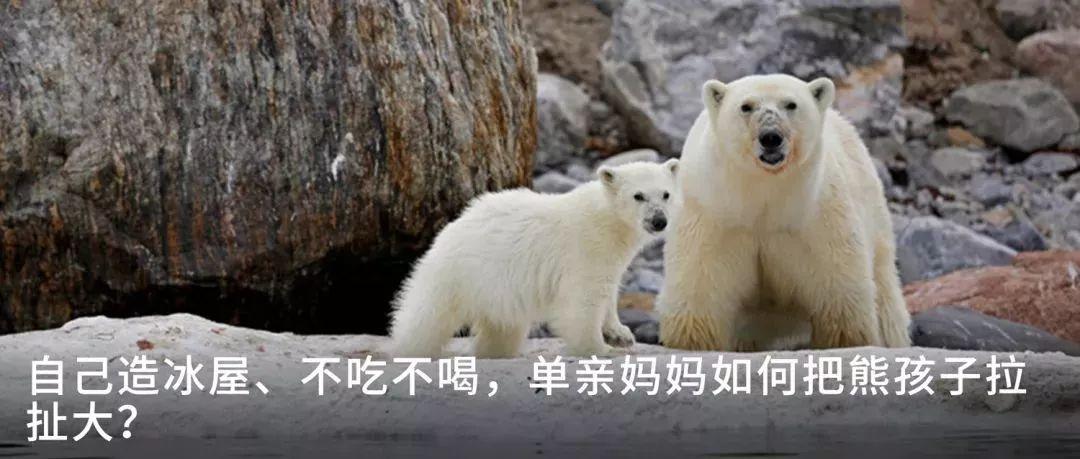 格陵兰著名景点_格陵兰景点_格陵兰旅游攻略