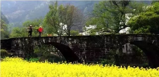 婺源西线最值得去的三个景点_婺源西线一日游攻略_婺源西线旅游攻略