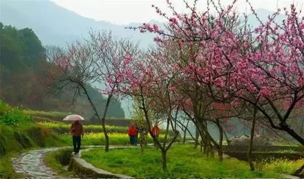 婺源西线旅游攻略_婺源西线一日游攻略_婺源西线最值得去的三个景点