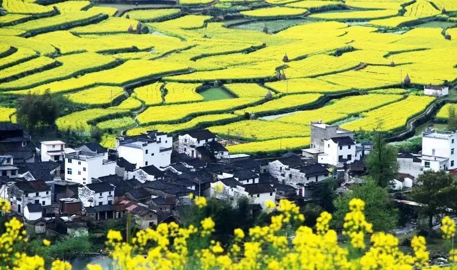 婺源西线旅游攻略_婺源西线一日游攻略_婺源西线最值得去的三个景点