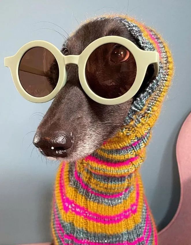 全球最时尚老奶奶_快手时尚奶奶_最时尚老奶奶