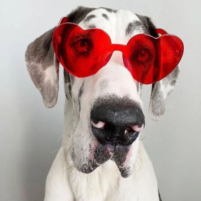 最时尚老奶奶_快手时尚奶奶_全球最时尚老奶奶