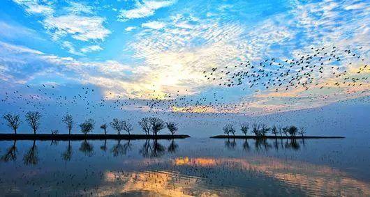 洞庭湖旅游攻略_攻略洞庭湖旅游路线_洞庭湖旅游攻略一天