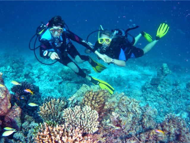 加雅礁湖-哈库拉岛_哈库拉岛4晚6自助游_哈库拉岛旅游攻略