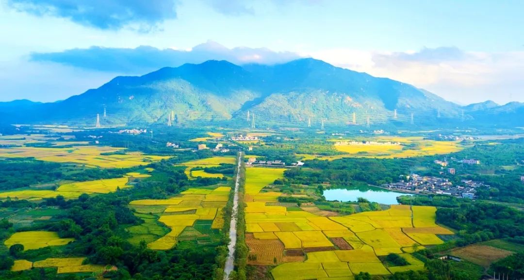 阳江温泉度假村旅游攻略_阳江温泉度假村电话号码_阳江温泉度假村酒店电话