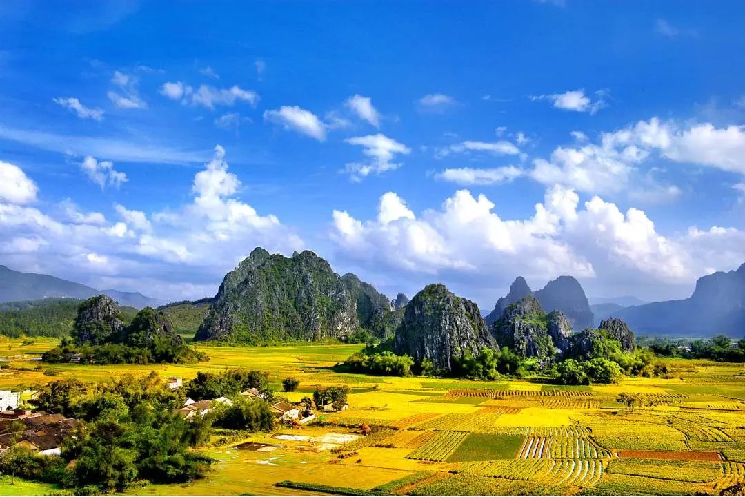 阳江温泉度假村酒店电话_阳江温泉度假村旅游攻略_阳江温泉度假村电话号码