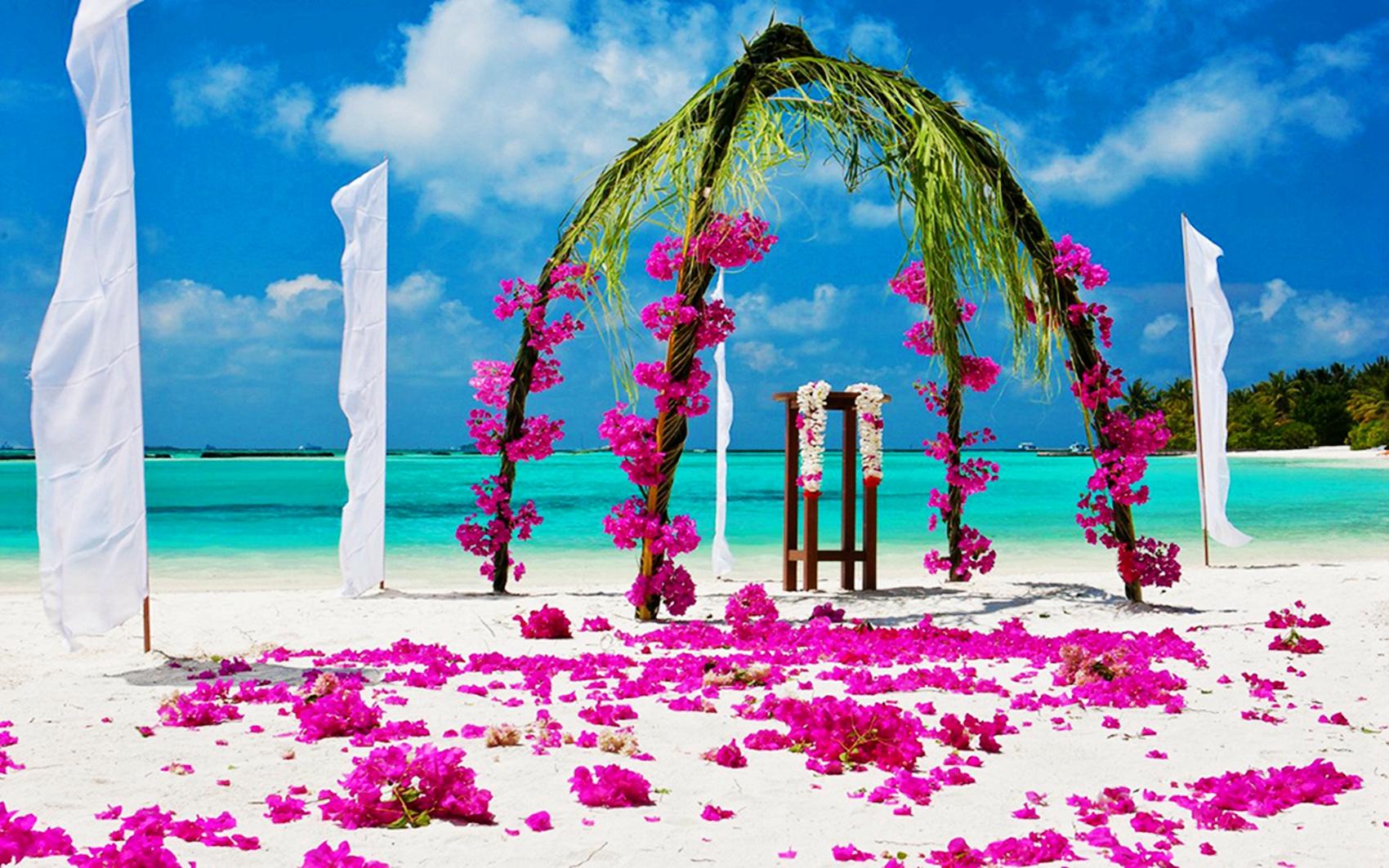 哈库拉岛旅游攻略-哈库拉岛酒店(图11) 哈库拉岛4晚6自助游_哈库拉岛旅游攻略_哈库拉岛酒店