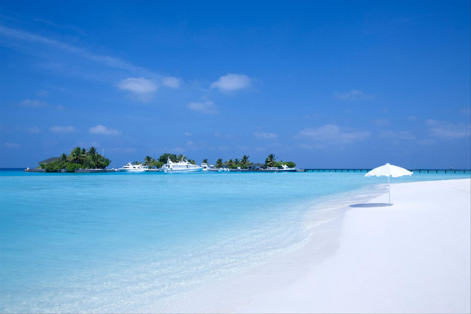 哈库拉岛旅游攻略-哈库拉岛酒店(图12) 哈库拉岛酒店_哈库拉岛4晚6自助游_哈库拉岛旅游攻略