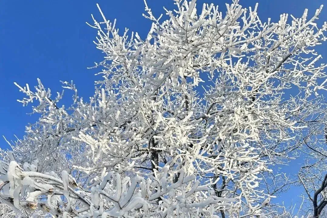 镜泊湖旅游攻略-镜泊湖游湖有意思吗(图17) 镜泊湖南湖景区_镜泊湖旅游攻略_镜泊湖游湖有意思吗