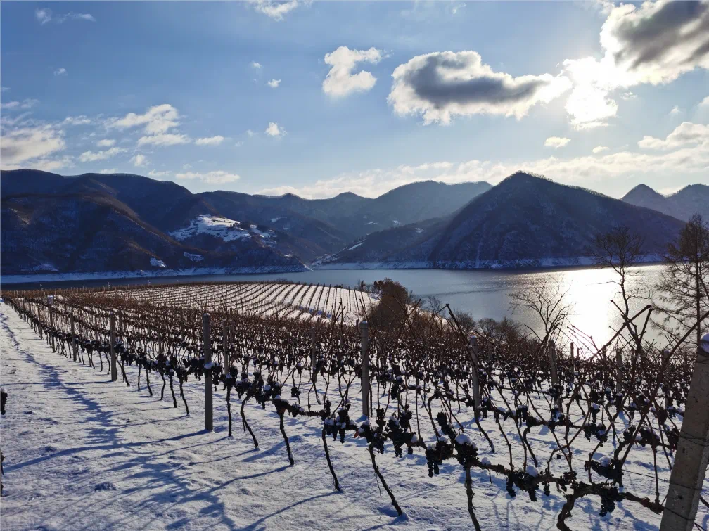 通化冬季旅游攻略-通化冬季旅游景点排行(图18) 通化冬季旅游攻略_通化春季旅游_通化冬季旅游景点排行