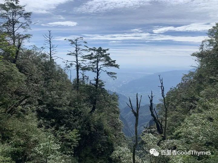 武夷山两日旅游攻略_旅行攻略武夷山_攻略旅游武夷山路线