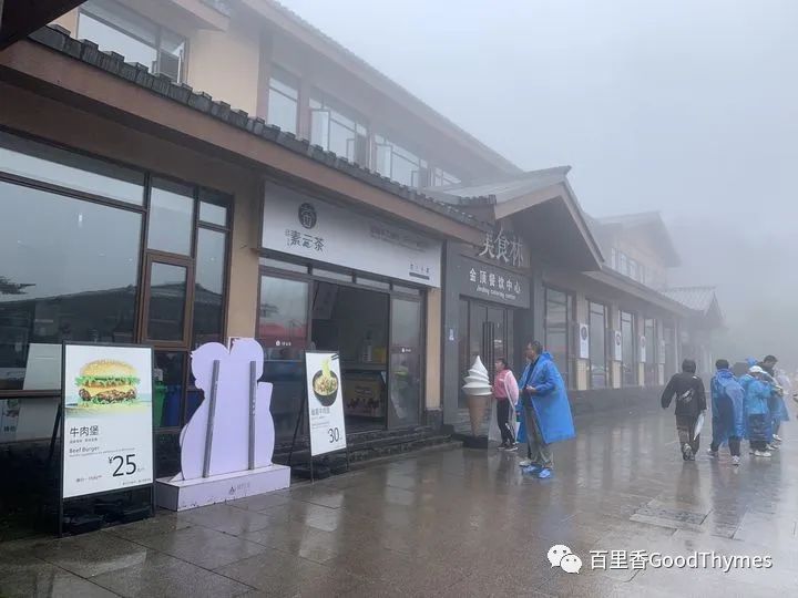 攻略旅游武夷山路线_武夷山两日旅游攻略_旅行攻略武夷山