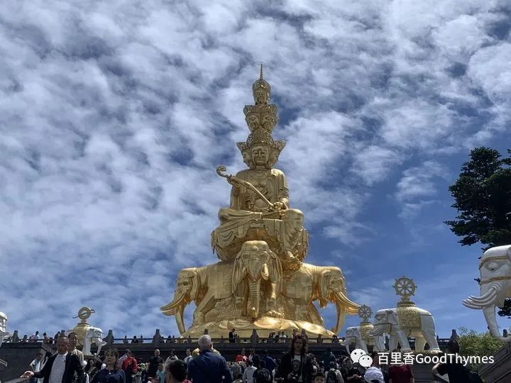 旅行攻略武夷山_攻略旅游武夷山路线_武夷山两日旅游攻略