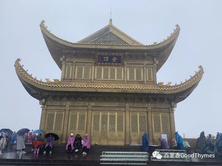 武夷山两日旅游攻略_攻略旅游武夷山路线_旅行攻略武夷山