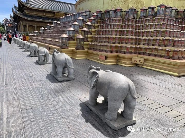 武夷山两日旅游攻略_旅行攻略武夷山_攻略旅游武夷山路线