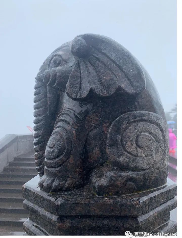 攻略旅游武夷山路线_旅行攻略武夷山_武夷山两日旅游攻略