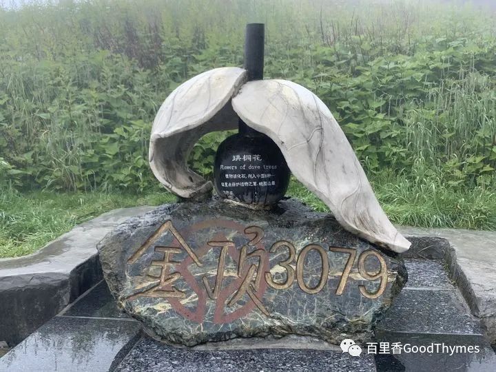 攻略旅游武夷山路线_旅行攻略武夷山_武夷山两日旅游攻略