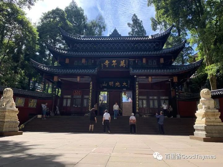 旅行攻略武夷山_攻略旅游武夷山路线_武夷山两日旅游攻略