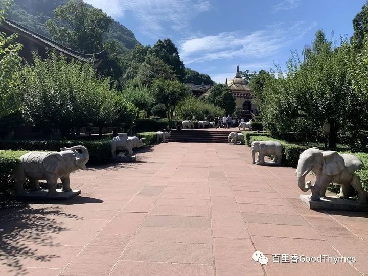 旅行攻略武夷山_武夷山两日旅游攻略_攻略旅游武夷山路线