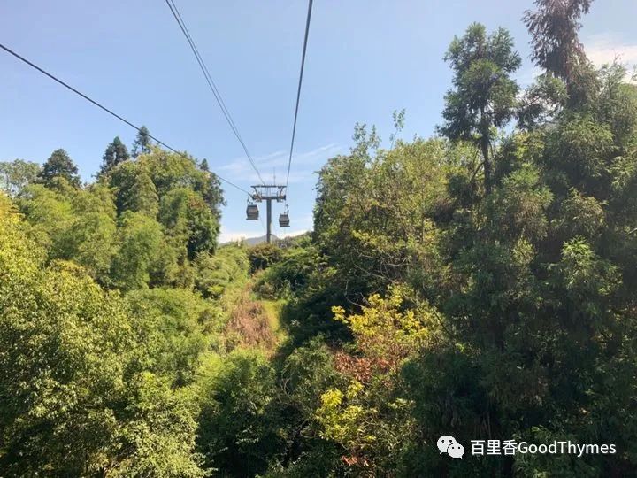 攻略旅游武夷山路线_旅行攻略武夷山_武夷山两日旅游攻略