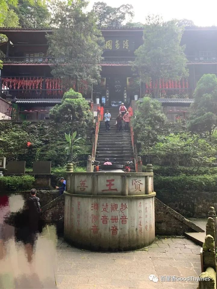 旅行攻略武夷山_武夷山两日旅游攻略_攻略旅游武夷山路线