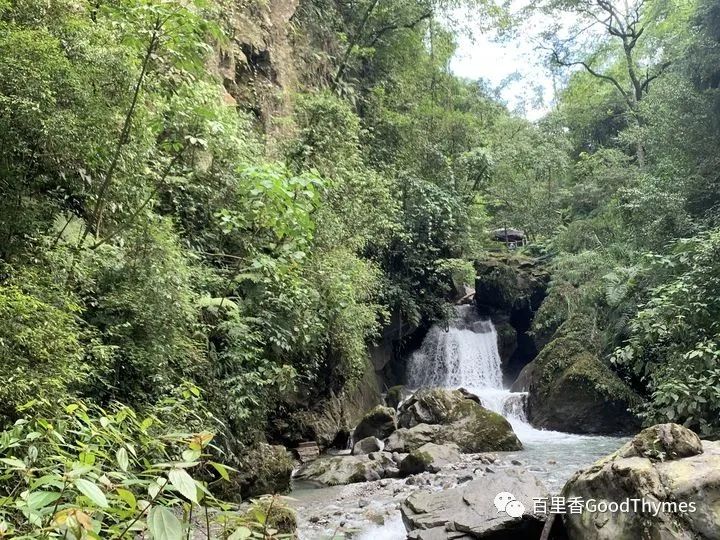 旅行攻略武夷山_攻略旅游武夷山路线_武夷山两日旅游攻略