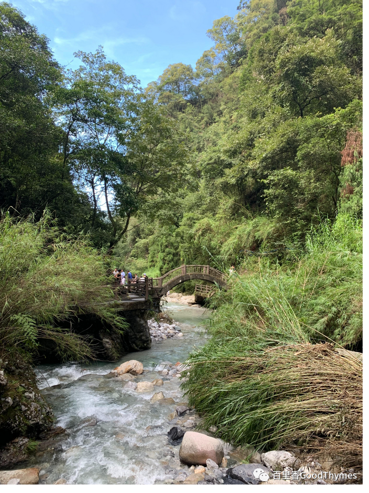 攻略旅游武夷山路线_旅行攻略武夷山_武夷山两日旅游攻略