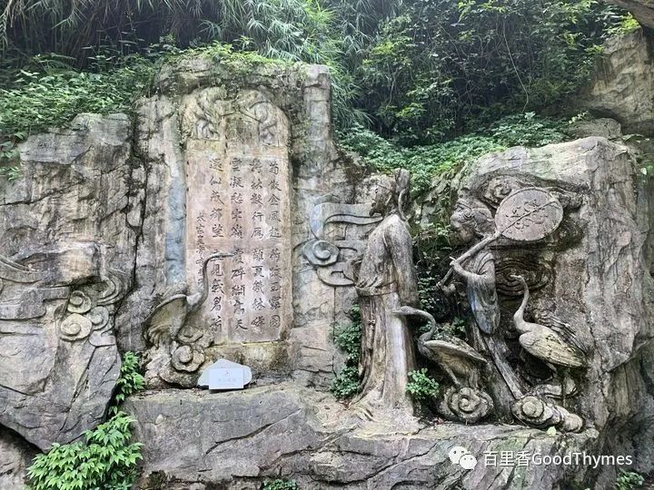 旅行攻略武夷山_武夷山两日旅游攻略_攻略旅游武夷山路线