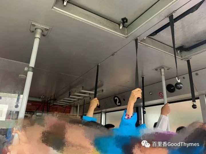 旅行攻略武夷山_武夷山两日旅游攻略_攻略旅游武夷山路线